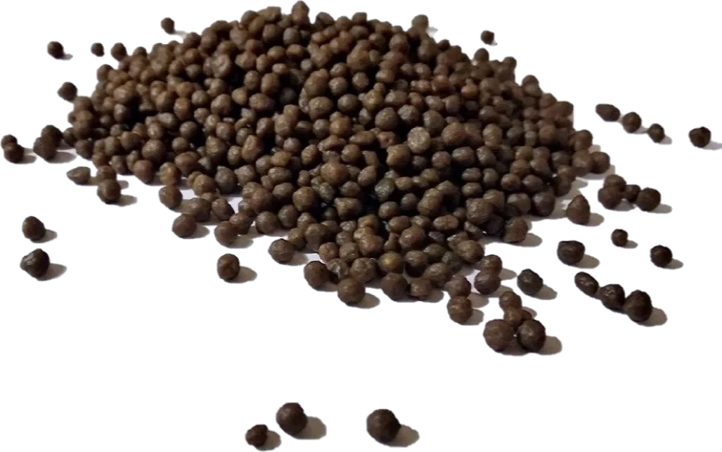 DAP Lào Cai màu nâu