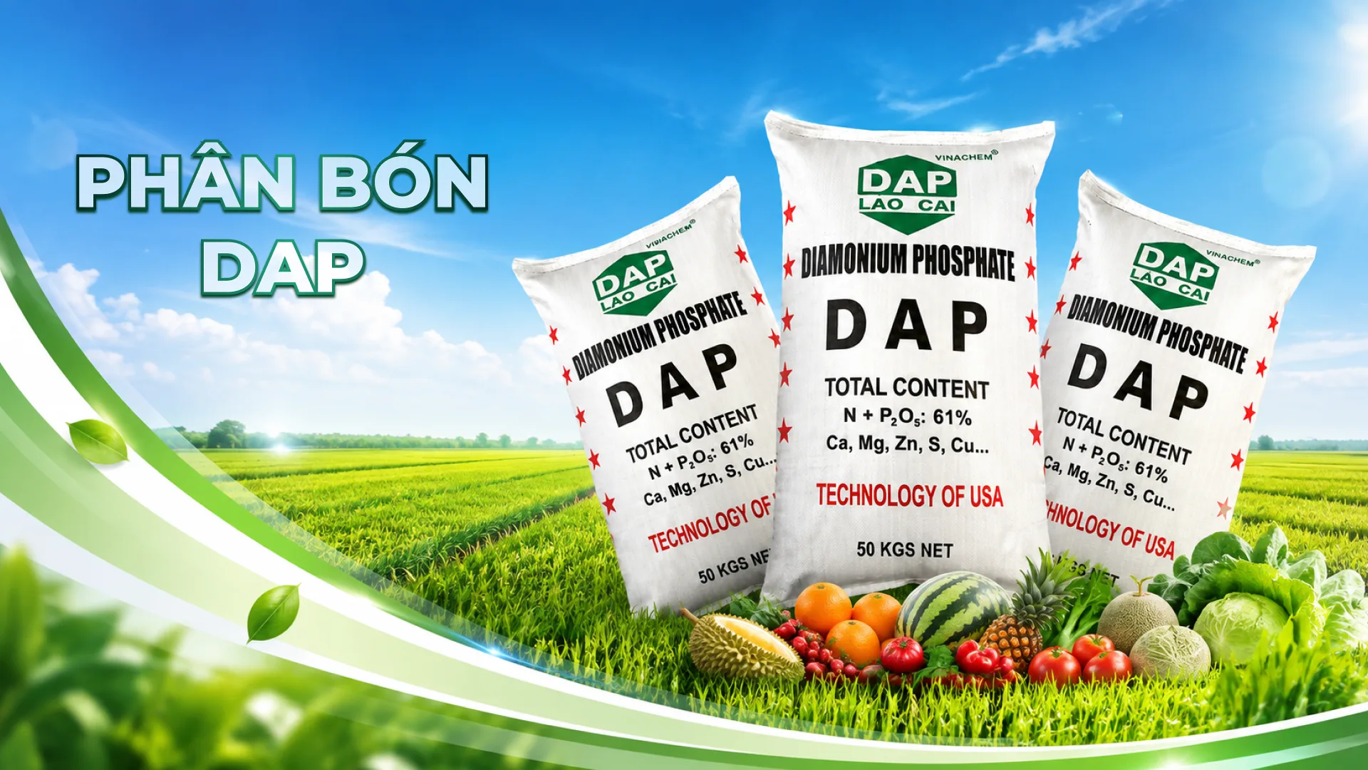 Phân bón DAP Lào Cai